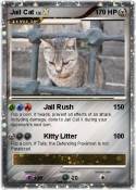 Jail Cat