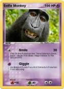 Selfie Monkey