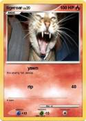 tigeroar