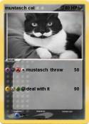 mustasch cat