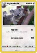 big boy koala