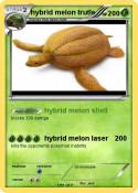hybrid melon