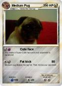 Medium Pug