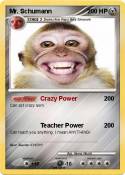 Mr. Schumann