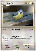 Blue Tit