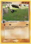 Java Monkey