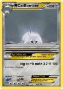 CatBomber CatBomber
