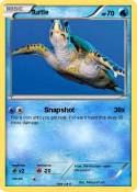 Turtle