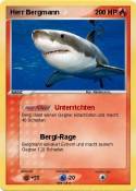 Herr Bergmann