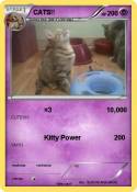 CATS!!