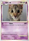 Epic cat