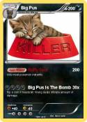 Big Pus