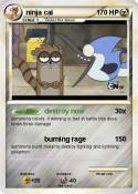 ninja cai