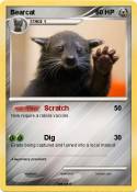 Bearcat