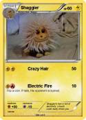Shaggier