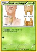 Parathyroid
