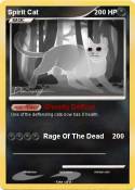 Spirit Cat
