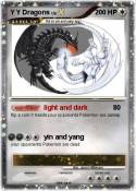 Y Y Dragons