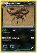 spider snake