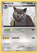 Internet Cat Internet Cat
