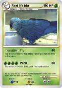 Real life blu
