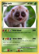 slow loris