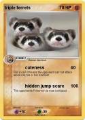 triple ferrets