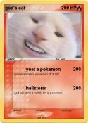 god's cat