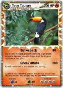 Toco Toucan