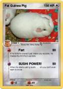Fat Guinea Pig