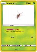 minor ant