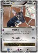 Bruno-Z