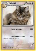 FAT CAT