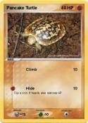Pancake Turtle