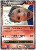 Tigerfire