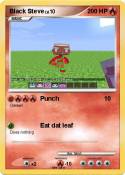 Black Steve