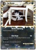 Cat Boss