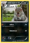 rabid squirrel