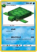 turt