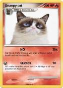 Grumpy cat
