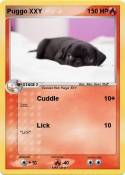 Puggo XXY