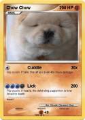 Chow Chow