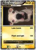 MLuke duke