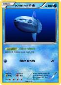 ocean sunfish
