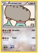 Pusheen cat