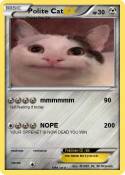 Polite Cat
