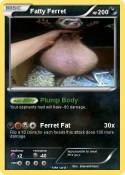 Fatty Ferret