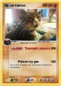 My cat Katniss