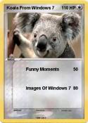 Koala From