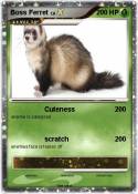 Boss Ferret